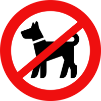 no dog