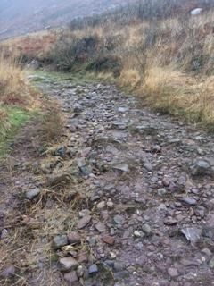 strickeen before