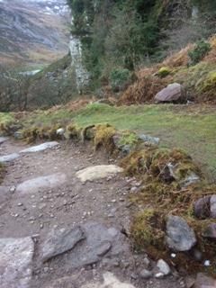 strickeen path completed